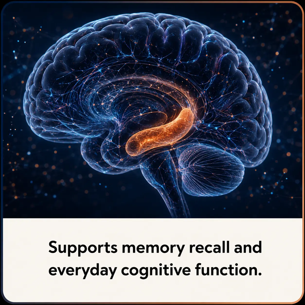 Illustration of memory recall pathways in the brain