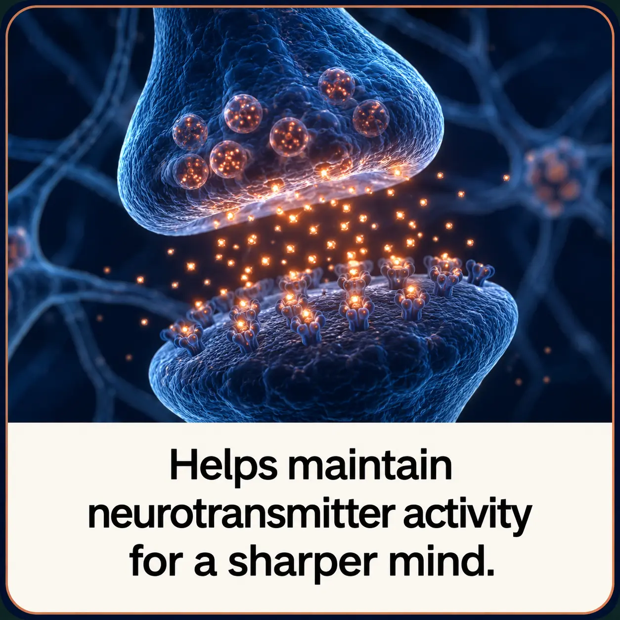 Illustration of neurotransmitter activity at a synapse